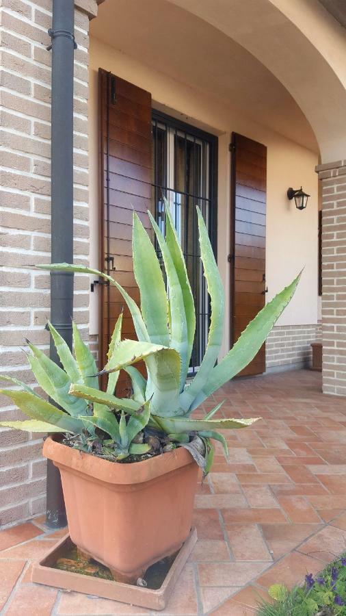 Villa Bracci Molinaccio エクステリア 写真
